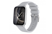 CARNEO Artemis HR+ silver