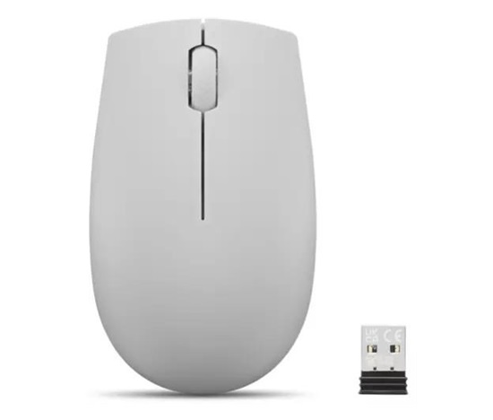 LENOVO 300 Wireless Compact Mouse