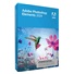 Adobe Photoshop Elements 2024 MP ENG UPG BOX