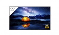 SONY 55'' 4K 24/7 Professional BRAVIA without Tuner, HAZE