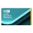 ESET HOME SECURITY Premium pre   1 zariadenia, krabicová licencia na 1 rok