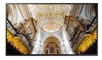 SMART Signage LED QB65C 65" LH65QBCEBGCXEN