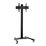 Optoma FPD floor trolley for N3551K