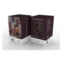 Lauben Desk Fan&Heater 2in1 600BB