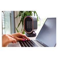 Lauben Desk Fan&Heater 2in1 600BB