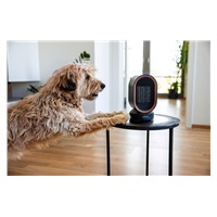 Lauben Desk Fan&Heater 2in1 600BB