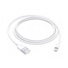 APPLE Lightning na USB kabel (1m)