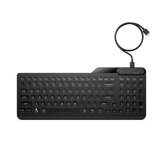 HP 125 Wired Keyboard - Česká