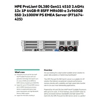 HPE PL DL380g11 4510 (2.4/12C) 2x32G (p64706) 2x960G SSDri (P40498) 8SFF MR408i-o 2x1000W 4x1Gb NBD333 Smart Choice