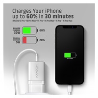 AXAGON ACU-PD30W, Sil nabíjačka do siete 30W, 1x port USB-C, PD3.0/PPS/QC4+/SFC/AFC/Apple, biela