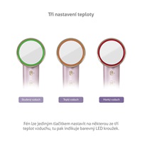 TrueLife HairDryer D6