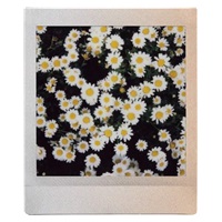 Fujifilm Instax Square Sunset