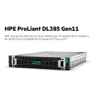 HPE PL DL385g11 AMD EPYC 9124 (3.0-3.7G/16C) 2x32G NS204i(2x480) 2x1000W 8LFF 4x1G Smart Choice