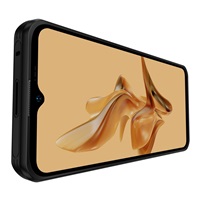 Smartphone Ulefone Armor 17 Pro 8GB/256GB (Black)