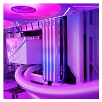 ADATA XPG DIMM DDR5 16GB 6000MHz CL30 Lancer NEON RGB