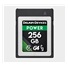 Delkin CFexpress Power R1780/W1700 (G4) 256GB