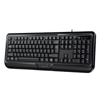 GENIUS klávesnice KB-118 II / Drátová/ Copilot/ USB/ černá/ CZ+SK layout