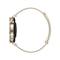 Huawei Watch GT5 41mm (Jana-B19M), gold EU