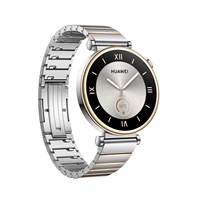 Huawei Watch GT4 41mm (Aurora-B19T), silver EU