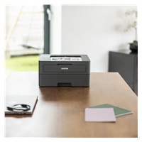 BAZAR - BROTHER tiskárna laserová mono HL-L2402D, A4, 30ppm, 1200x1200dpi, 64MB, USB, Duplex - Poškozený obal (Komplet)