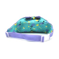Ledvinka pro děti zebra