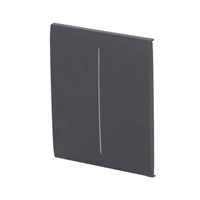 Ajax  CenterButton (2-gang) - Středové dvou tlačítko, grafitová