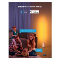 BAZAR - Govee Lyra Smart RGBICWW LED lampa + ovladač - Poškozený obal (Komplet)