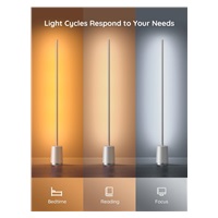 BAZAR - Govee Lyra Smart RGBICWW LED lampa + ovladač - Poškozený obal (Komplet)