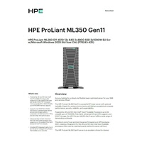 HPE PL ML350g11 4510 (2.4/12C) 2x32G (P64706) 2x480G MR408i 2x1000W SFF 4p1G WS25STD(P77100) +5user(P77112) Smart Choice