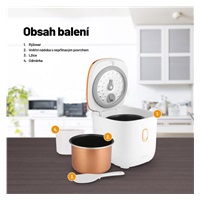 Lauben Multifunction Rice Cooker 1200WR Rose Gold Edition - rýžovar - Poškozený obal (Komplet)