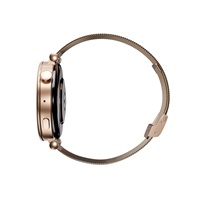 Garett Smartwatch ROSE zlatá, Mesh steel