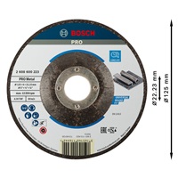 Bosch hrubovací kotouč PRO Metal, 125 × 6 × 22,23 mm, oSa