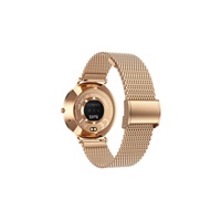 CARNEO Phoenix HR+ GOLD Ultra thin 2nd gen