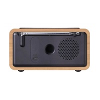 CARNEO W20D rádio DAB, FM rádio, wireless charging