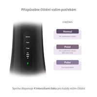 TrueLife AquaFloss Compact L100 Black - ústní sprcha