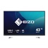 EIZO MT 43" EV4340X-BK FlexScan, IPS, 3840x2160, 350nit, 1000:1, 5ms, USB-C, DisplayPort, USB, HDMI, Repro, Černý
