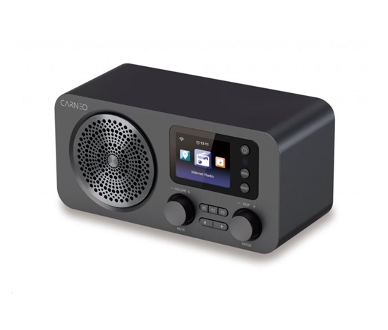 BAZAR - CARNEO IR700, Internetové rádio, DAB+, FM, BT, black - Po opravě (Bez příšlušenství)