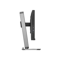 Philips MT 23,8" 24B2N4200 - 1920x1080,IPS,120Hz,D-Sub,HDMI,DP,USBhub,Repro,Pivot