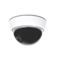 Solight maketa bezpečnostní kamery, na strop, LED dioda, 3 x AA