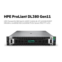 HPE PL DL380g11 4509Y (2.6/8C) 2x32G (p64706) 8SFF MR408i-o 2x480G 2x1000W 4x1Gb NBD333 Smart Choice