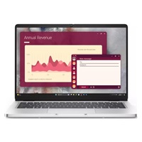 DELL NTB Pro 14 PC14250/U7-255U/32GB/512SSD/14" FHD+ /IR Cam & Mic/65W/WLAN/vPro|Backlit Kb/W11 Pro/3Y PS NBD