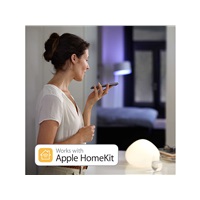 BAZAR - PHILIPS Hue Bridge