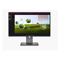 LENOVO LCD ThinkVision P27q-40- 27",IPS,mat,16:9,2560x1440,178/178,4/6ms,350cd/m2,1500:1,DP,HDMI,PIVOT,VESA,3Y