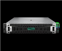 HPE PL DL345g11 AMD Epyc 9115 (2.6G/16C) 2x32G (P64985) 2x960G 2x1000W MR416i-p 8LFF 4p1G Arm Smart Choice