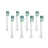 TrueLife SonicBrush Clean-series heads Standard white 8 pack