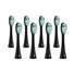 TrueLife SonicBrush Clean-series heads Standard black 8 pack