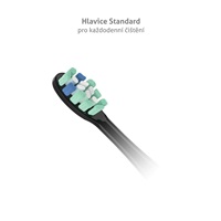 TrueLife SonicBrush Clean-series heads Standard black 8 pack