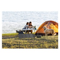 EcoFlow 60W solární panel (Typ-C)