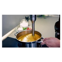 SALENTE Mixxo multifunkční tyčový mixér 3v1, 1200 W, nerez, černá