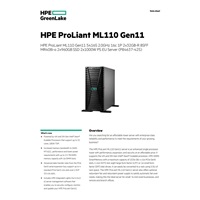 HPE PL ML110g11 5416S (2.0G/16C) 2x32G (p43328) 2x960G 2x1000W MR408i-o 8SFF 2p10GT Smart Choice